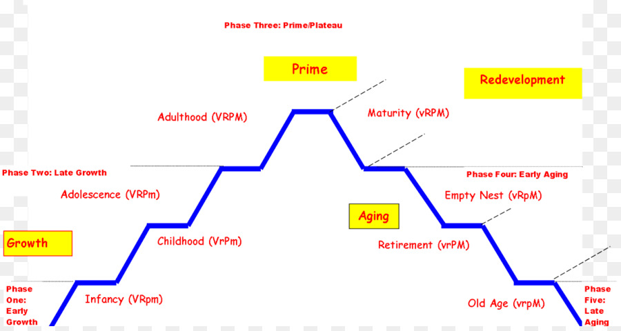 Ligne，Organisation PNG