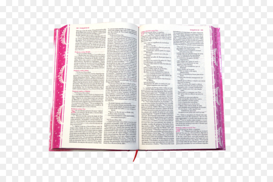 La Bible Le Saint De La Petite Princesse，Bible PNG