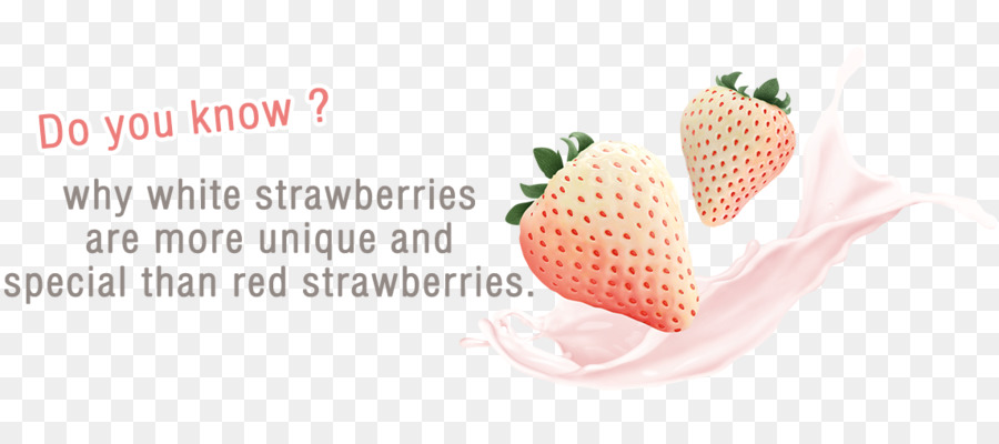 Fraises Blanches，Unique PNG