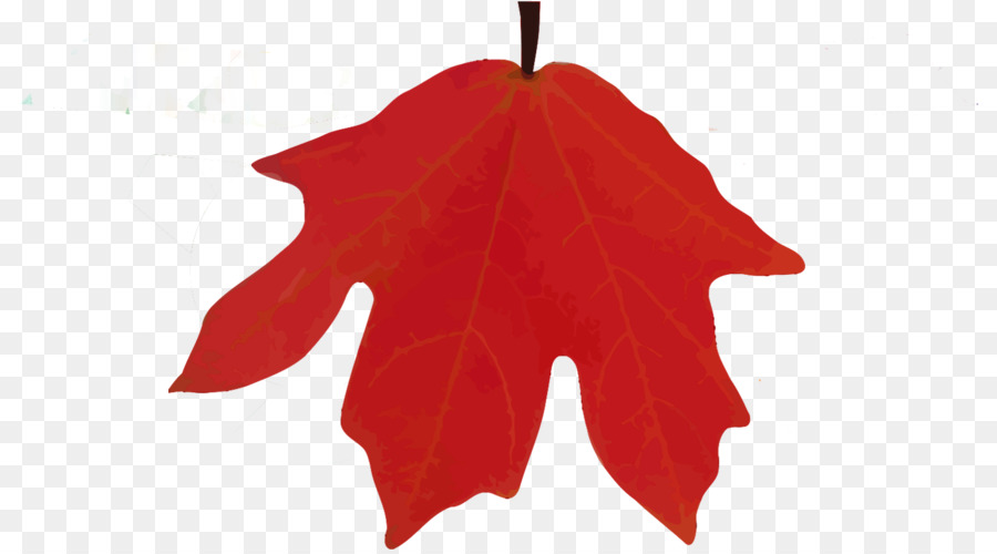 Feuille Rouge，Automne PNG