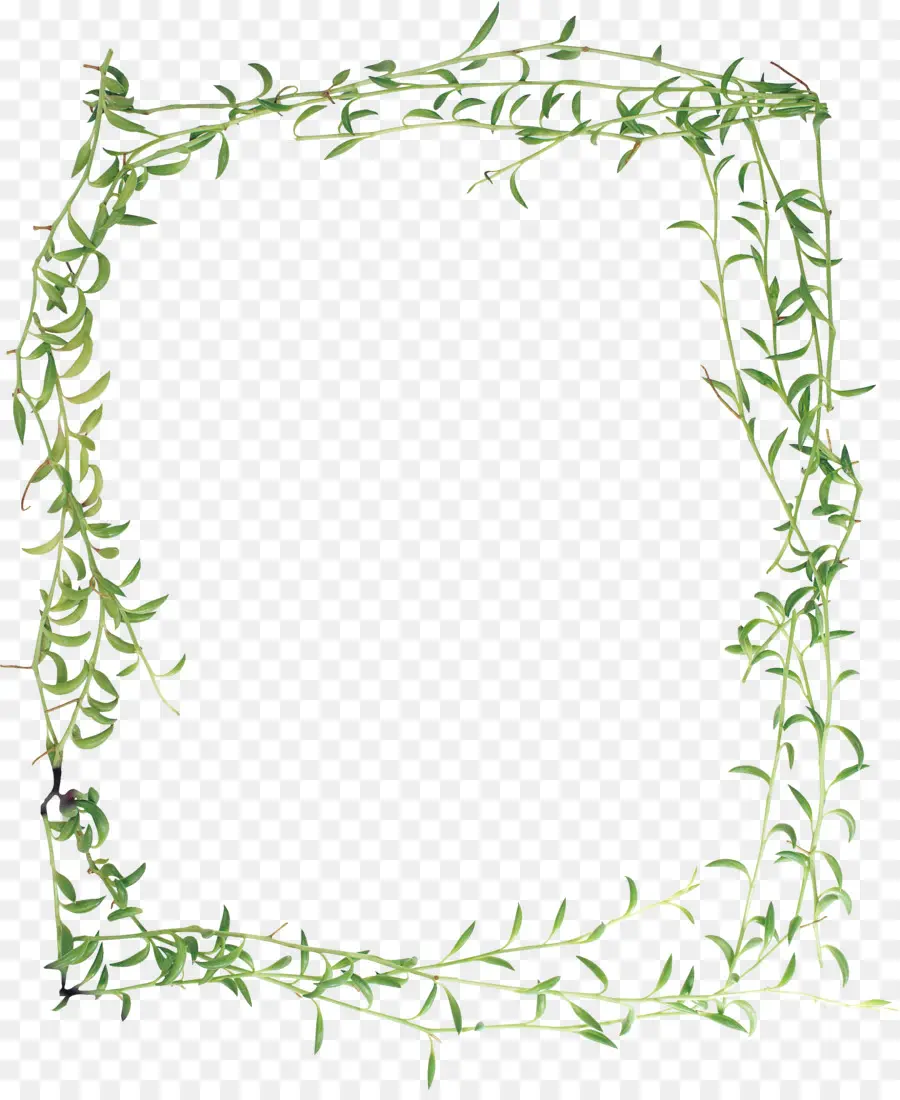 Couronne Verte，Feuilles PNG