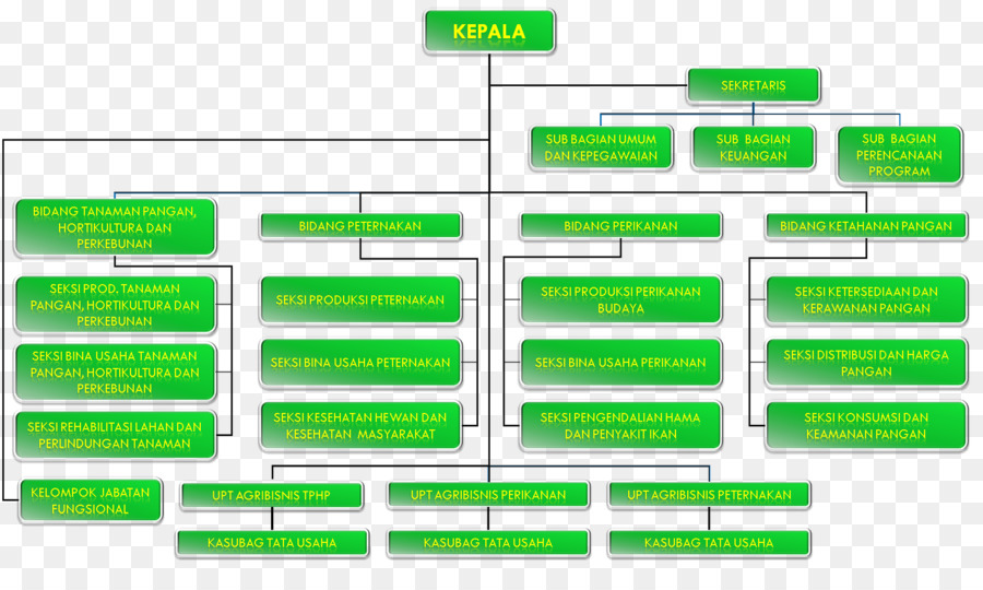 Organisation，Structure Organisationnelle PNG