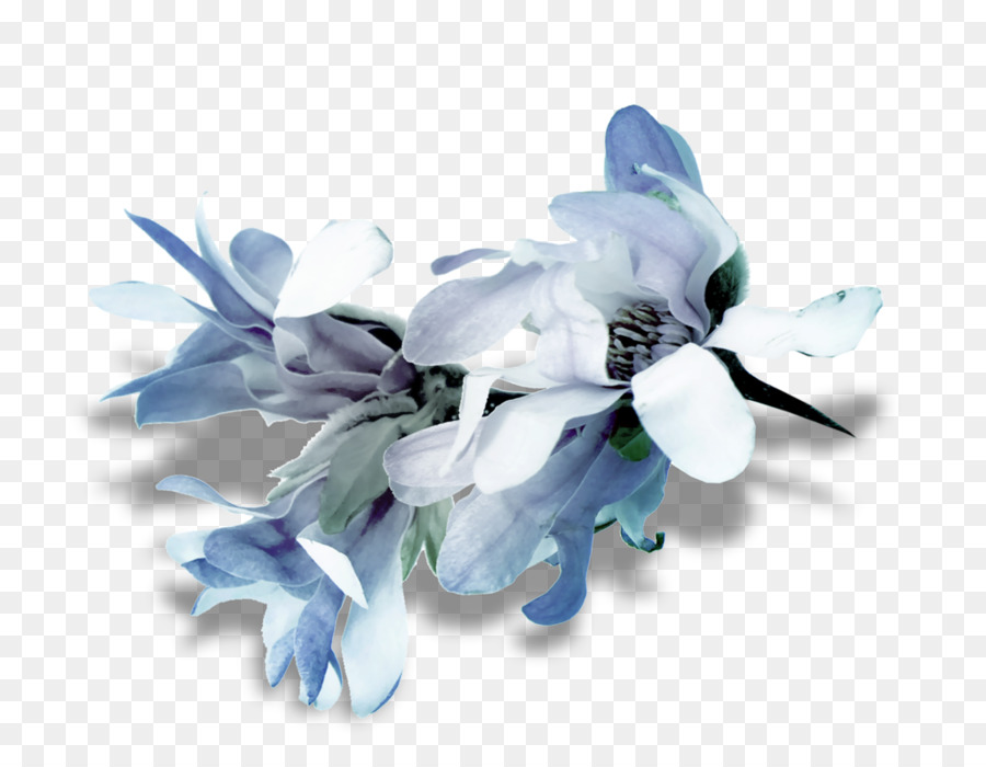 Floranov à，Fleur PNG