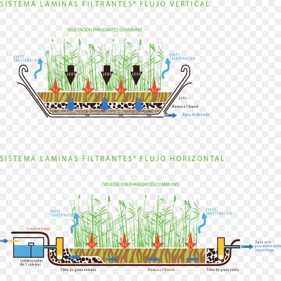 Les Ressources En Eau，Arbre PNG