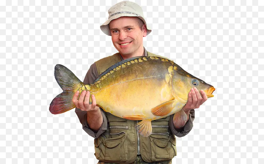 Pêcheur Avec Gros Poisson，Attraper PNG