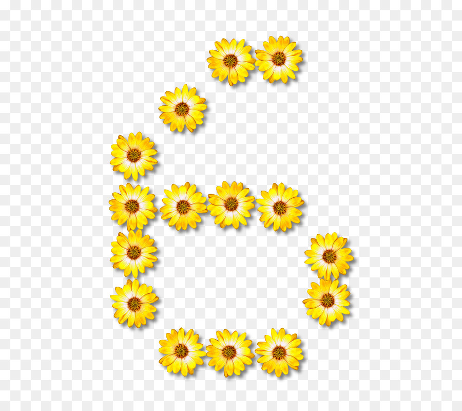 Fleurs，Jaune PNG