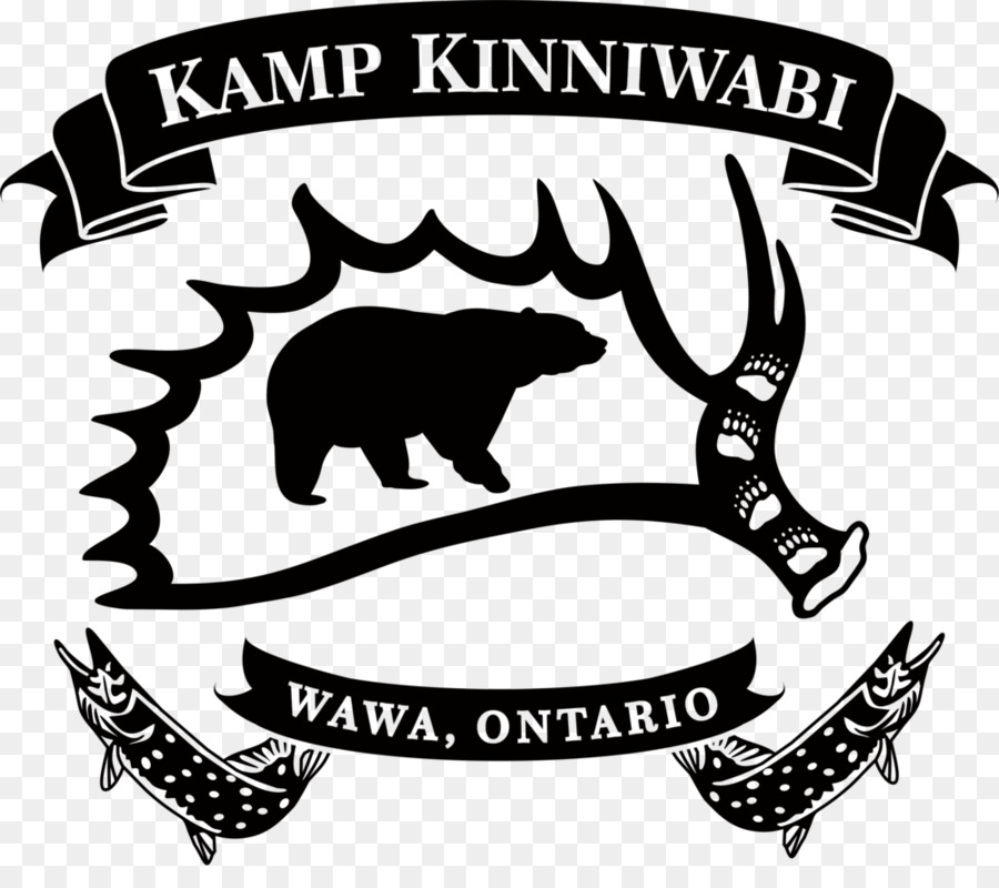 Kamp Kinniwabi，Ours Noir Américain PNG