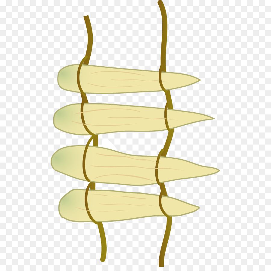 Feuille，Ligne PNG