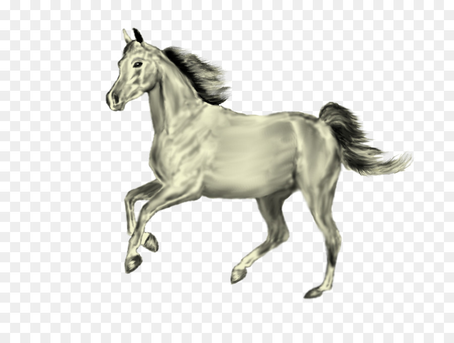 Tête De Cheval Jaune，Animal PNG