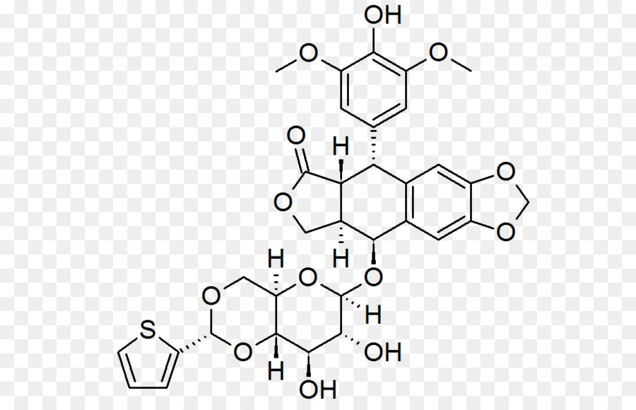 Téniposide，Chimie PNG