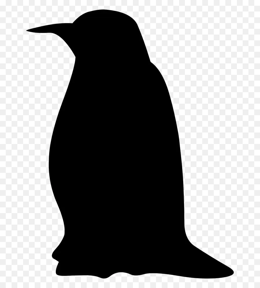 Silhouette De Pingouin，Noir PNG