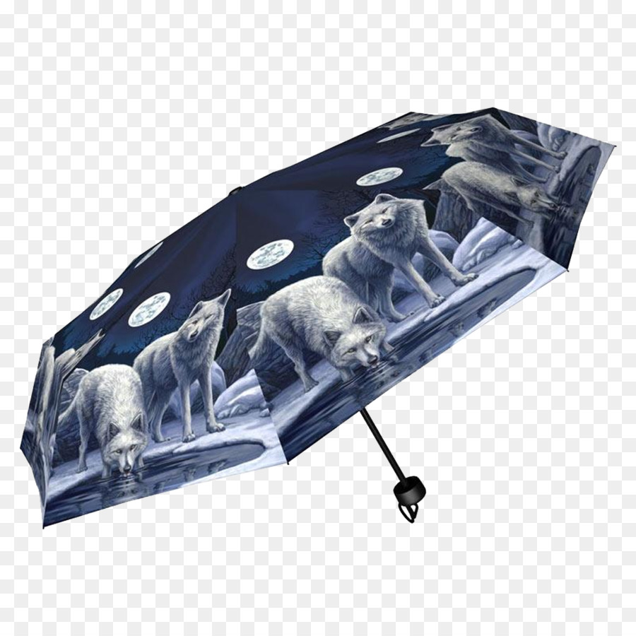 Parapluie，Sac à Main PNG