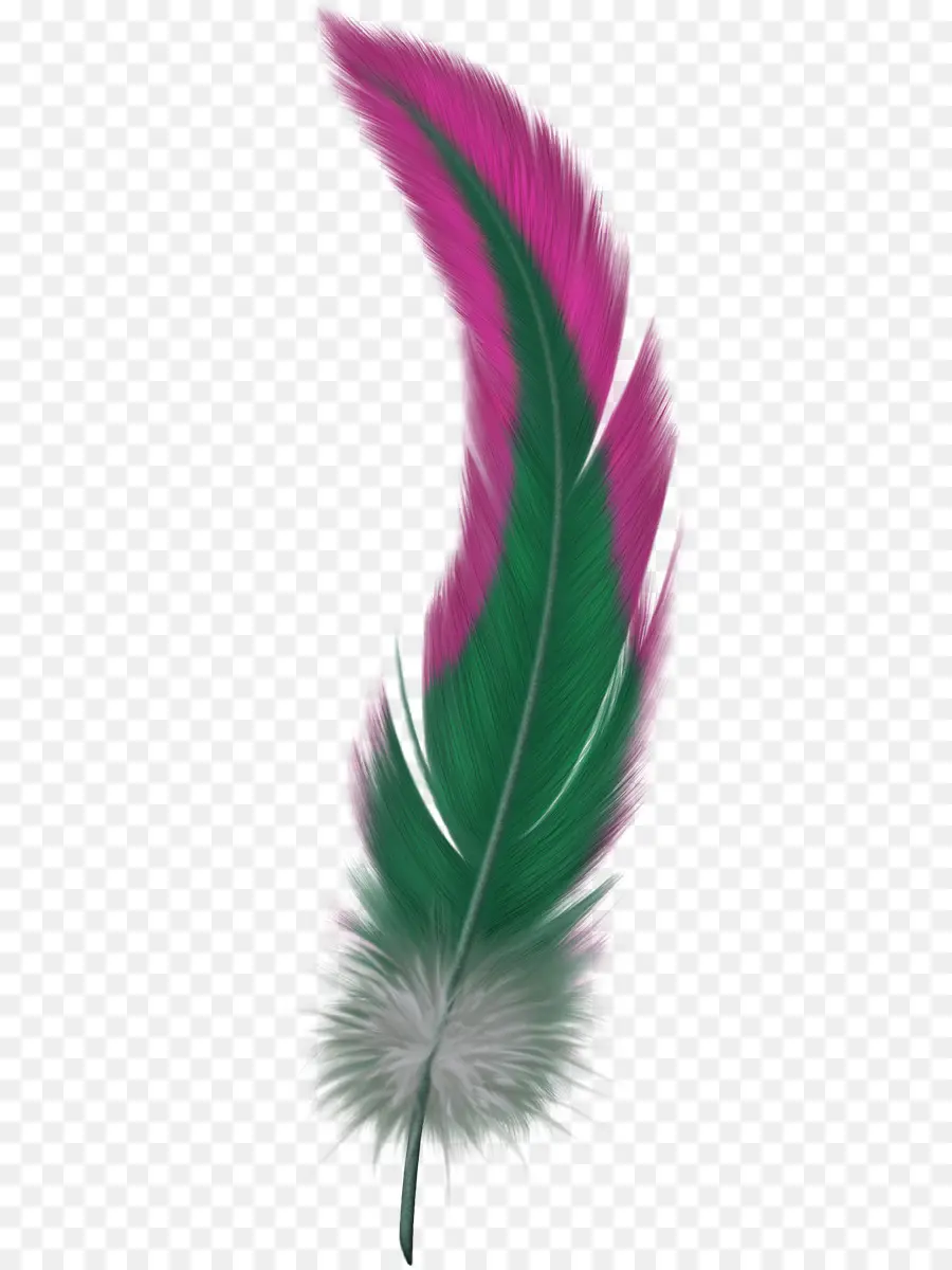 Plume Rose，Doux PNG