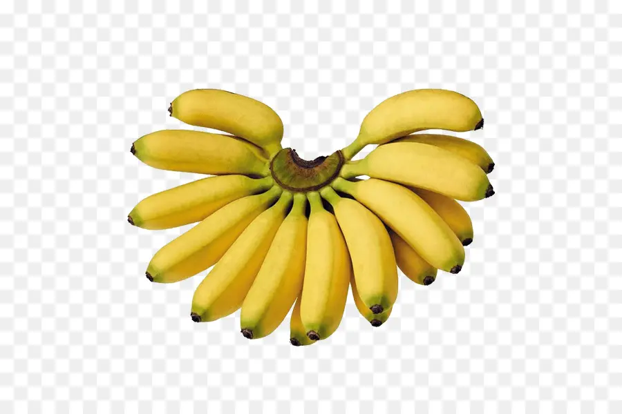 Saba Banane，Bananes à Cuire PNG