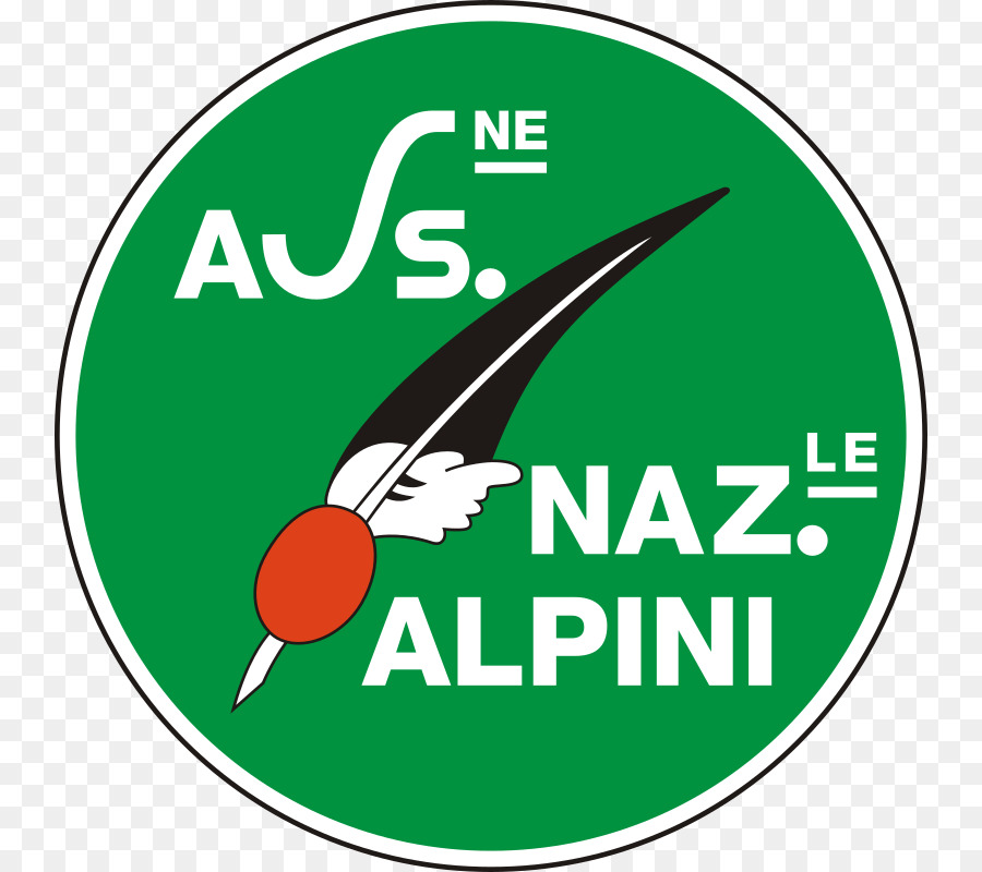 Alpini Rassemblement National，Pasubio PNG