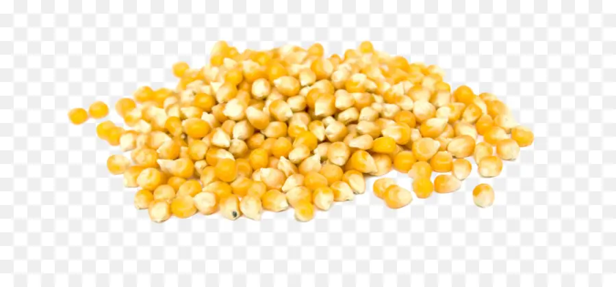 L épi De Maïs，Pop Corn PNG