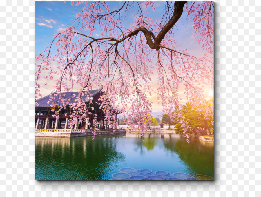 Gyeongbokgung，Village Culturel De Gamcheon PNG