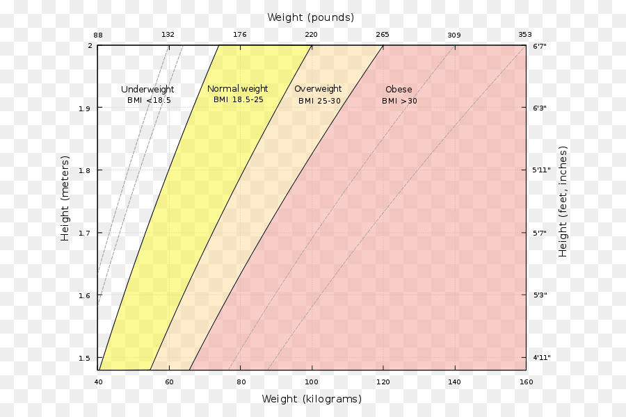 Graphique Imc，Poids PNG