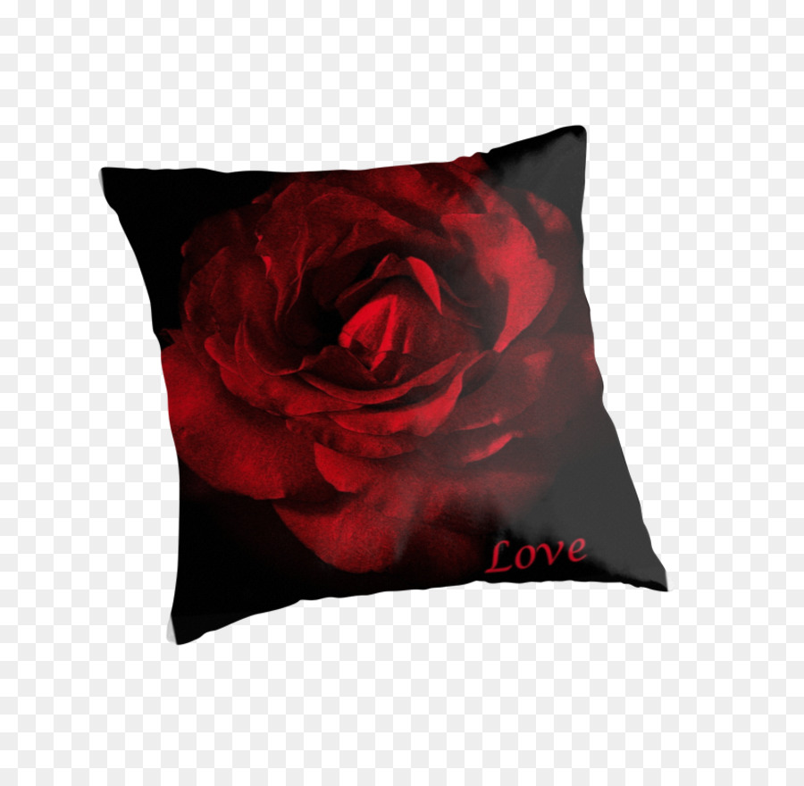 Les Coussins，Coussin PNG