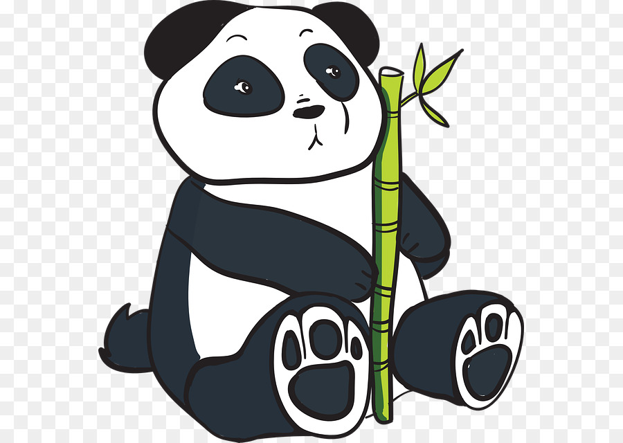 Panda Géant，Panda Rouge PNG