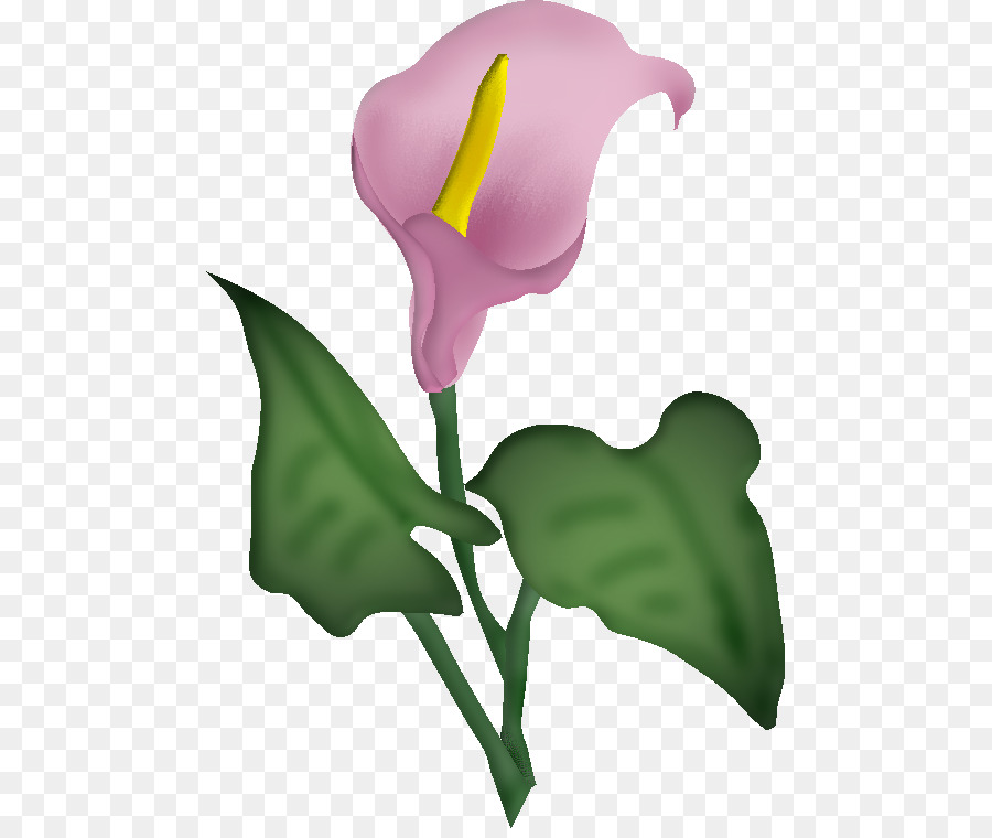 Fleur，Blume PNG