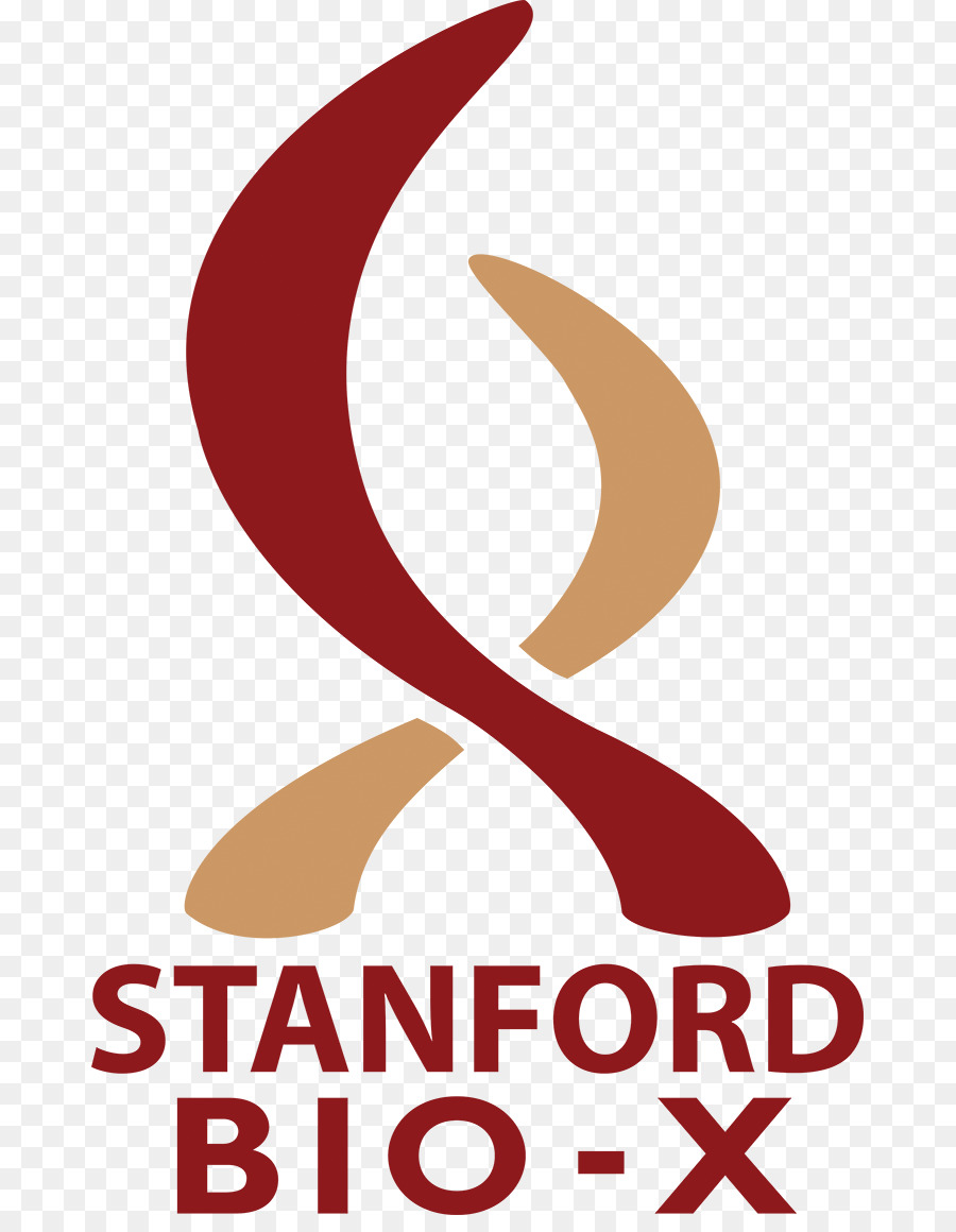 L Université De Stanford，Docteur En Philosophie PNG