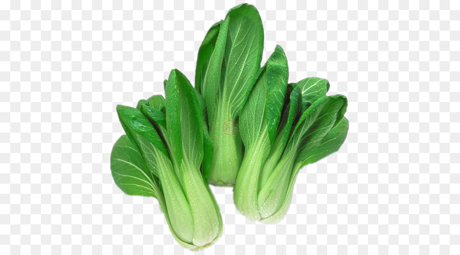 Bok Choy，Vert PNG