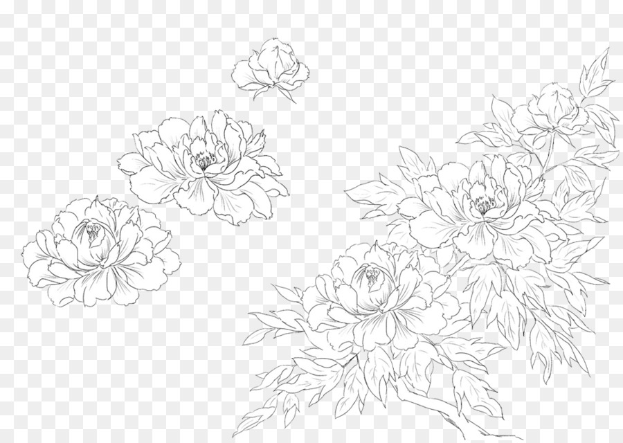 Design Floral，Blanc PNG
