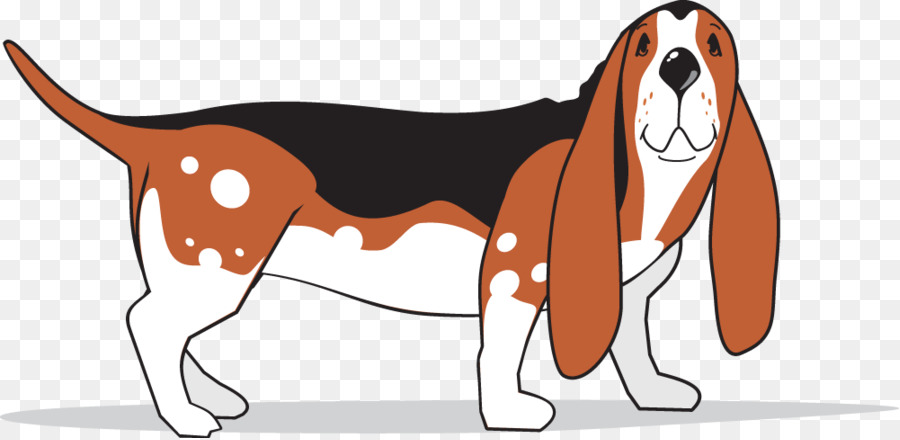 Basset Hound，Foxhound Américain PNG