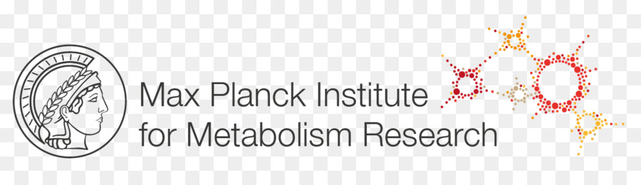 Institut Max Planck Pour Le Métabolisme De La Recherche，Institut Max Planck Pour La Biologie Du Vieillissement PNG