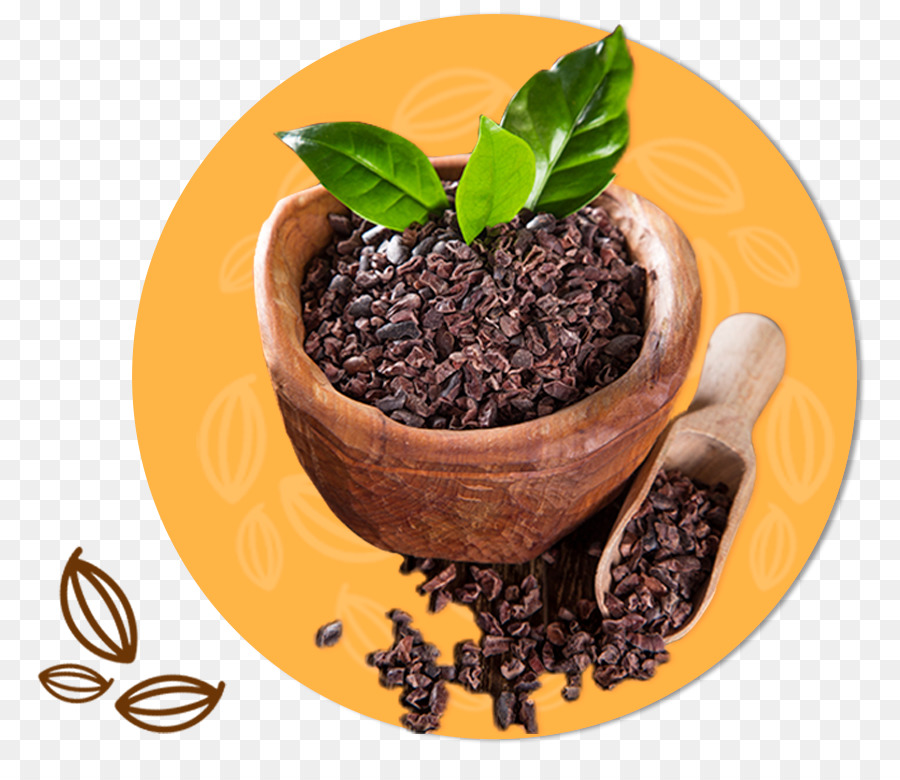Fève De Cacao，Papier PNG