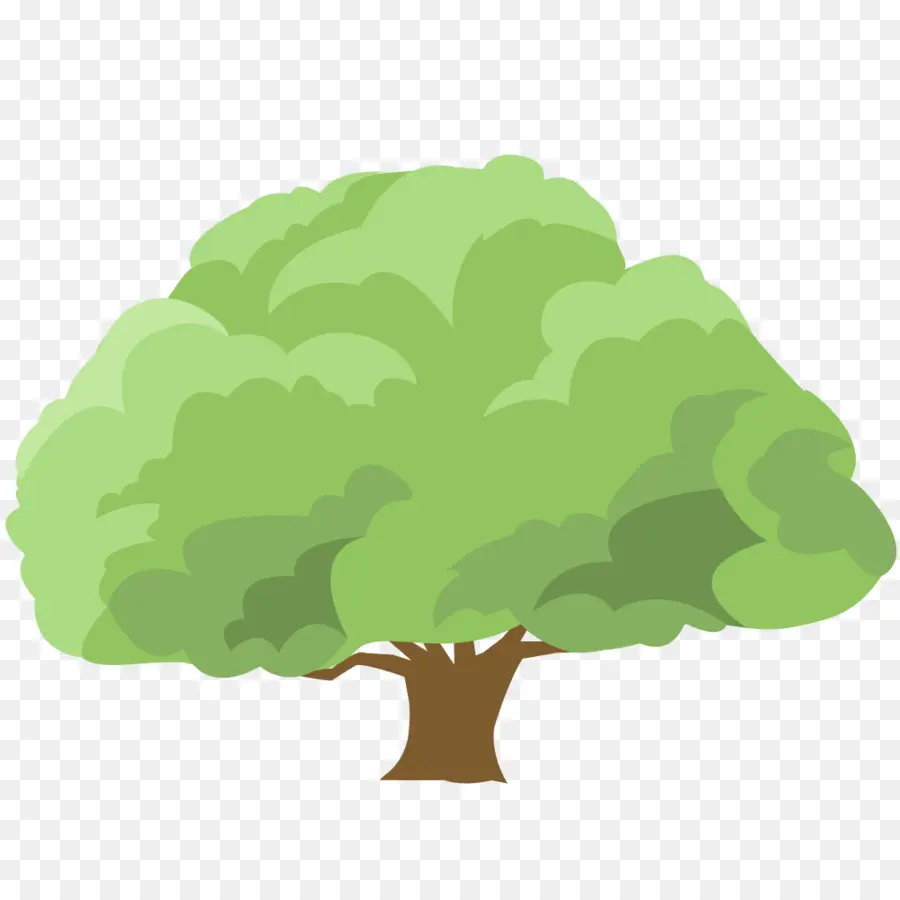 Arbre De Dessin Animé，Feuilles Vertes PNG