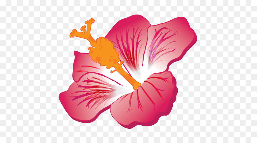 Hibiscus，Hibiscus Jaune PNG