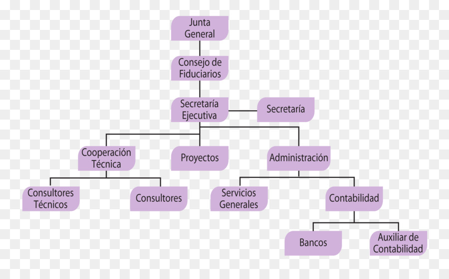 Organisation，Structure Organisationnelle PNG