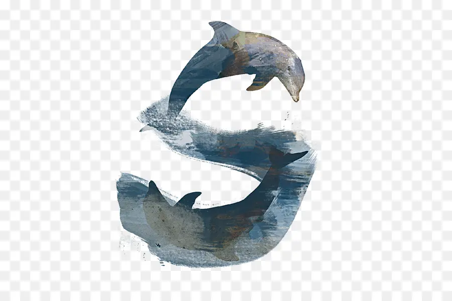 Dauphins，Eau PNG