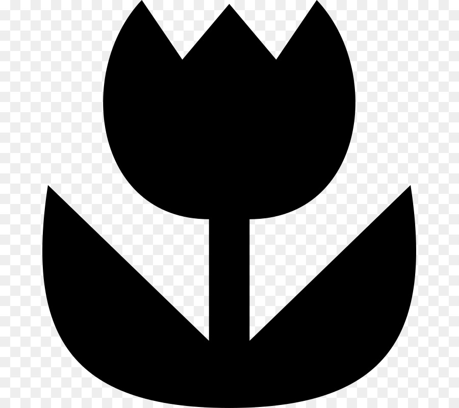 Fleur Noire，Usine PNG