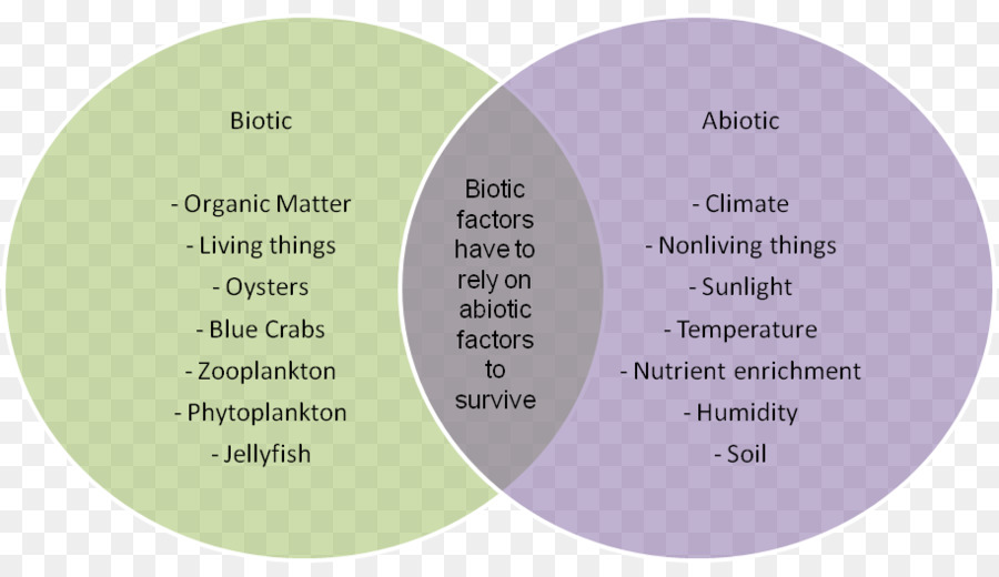 élément Biotique，Abiotiques Composant PNG