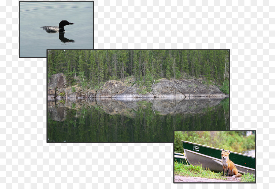 Jan Lake Saskatchewan，Trois Lacs Camp PNG