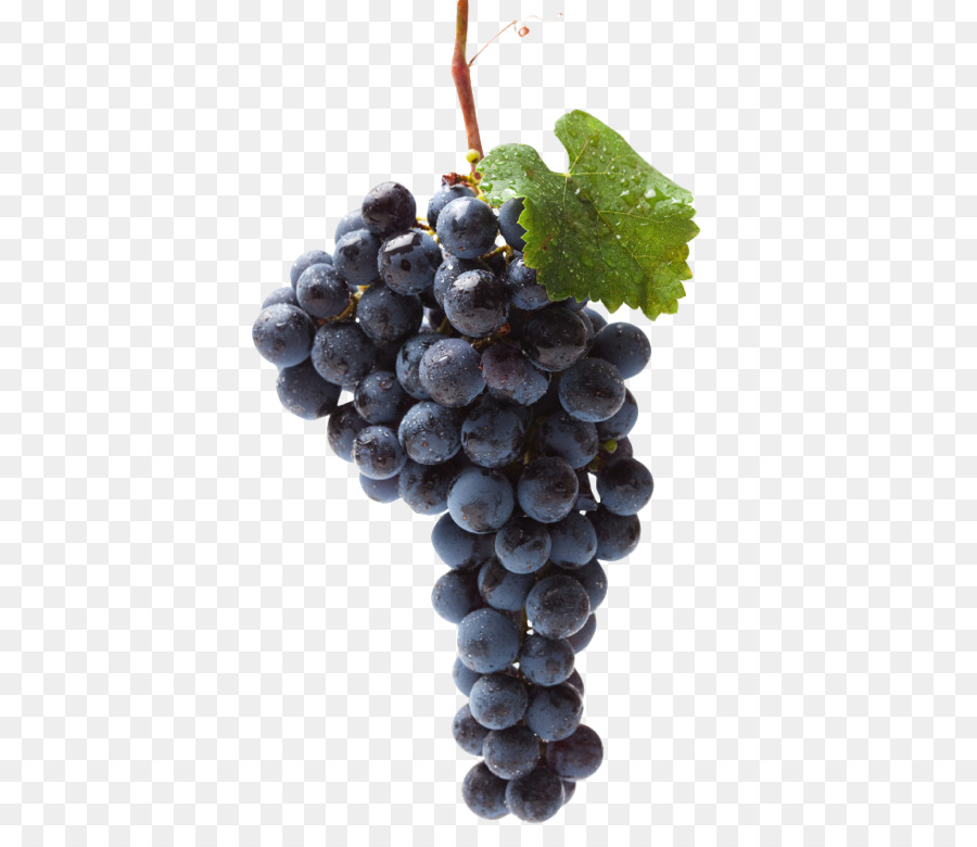 Raisins，Violet PNG