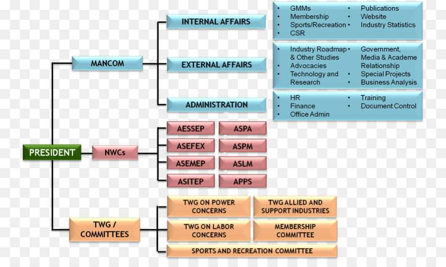 Organisation，Organigramme PNG