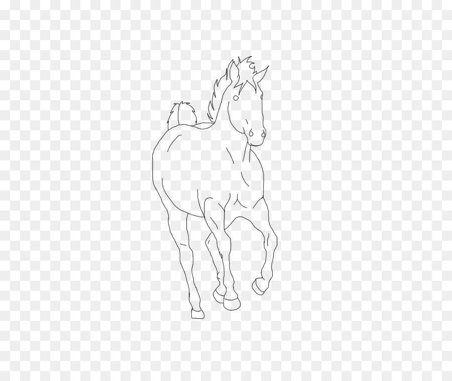 Crinière，Poney PNG