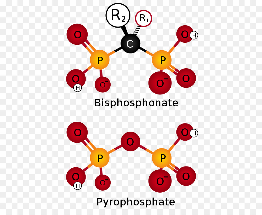 Les Bisphosphonates，Acide Ibandronique PNG