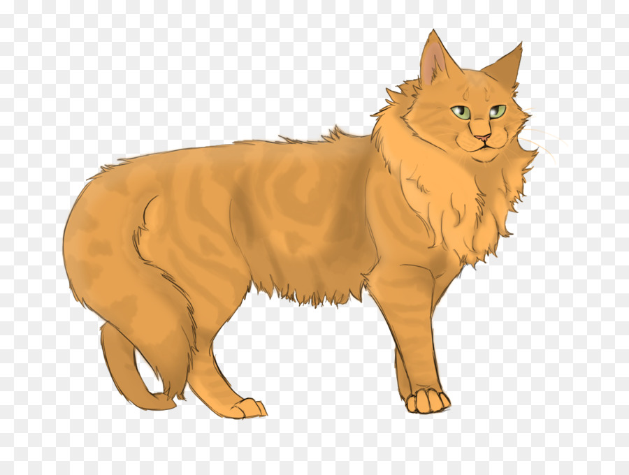 Chat，Animal De Compagnie PNG