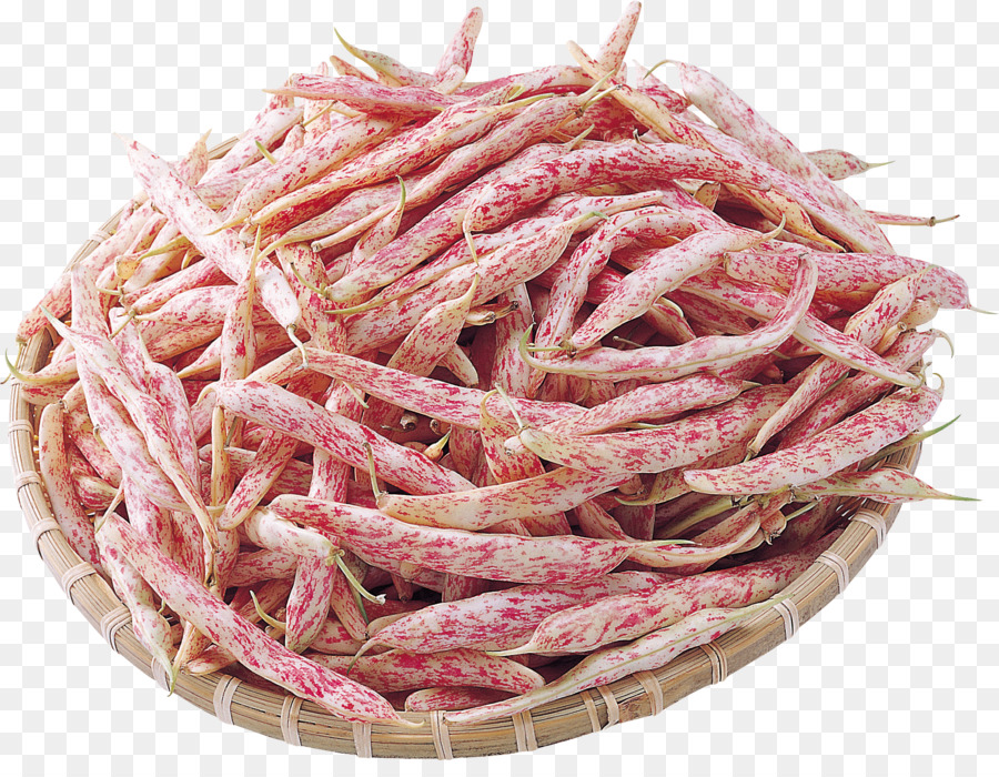Haricots Canneberge，Rose M PNG