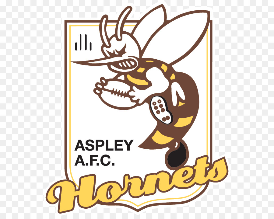 Nord Est De L Australian Football League，Aspley Club De Football PNG