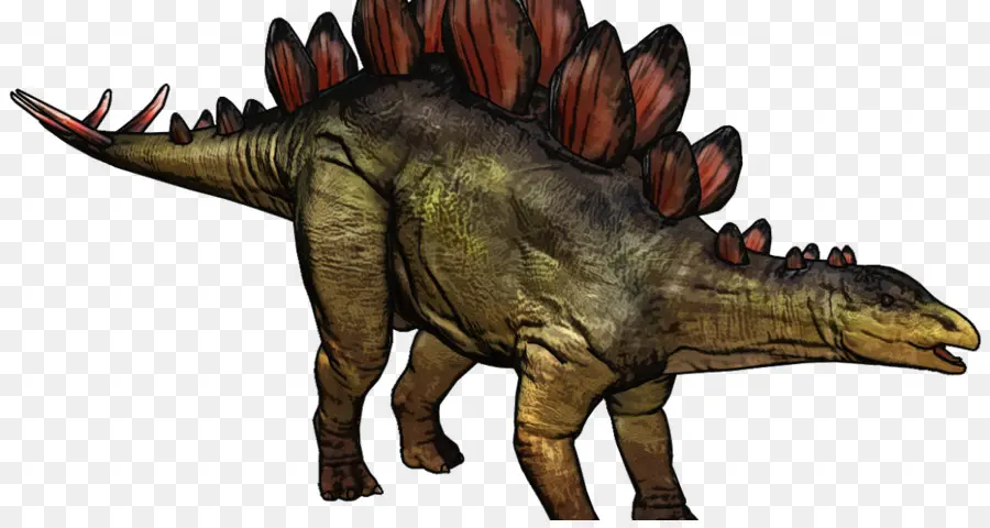 Le Tyrannosaure，Stegosaurus PNG