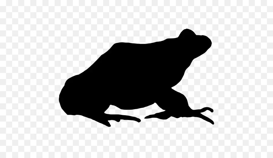 Grenouille，Silhouette PNG