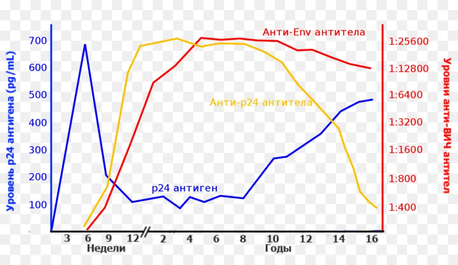 Graphique，Données PNG