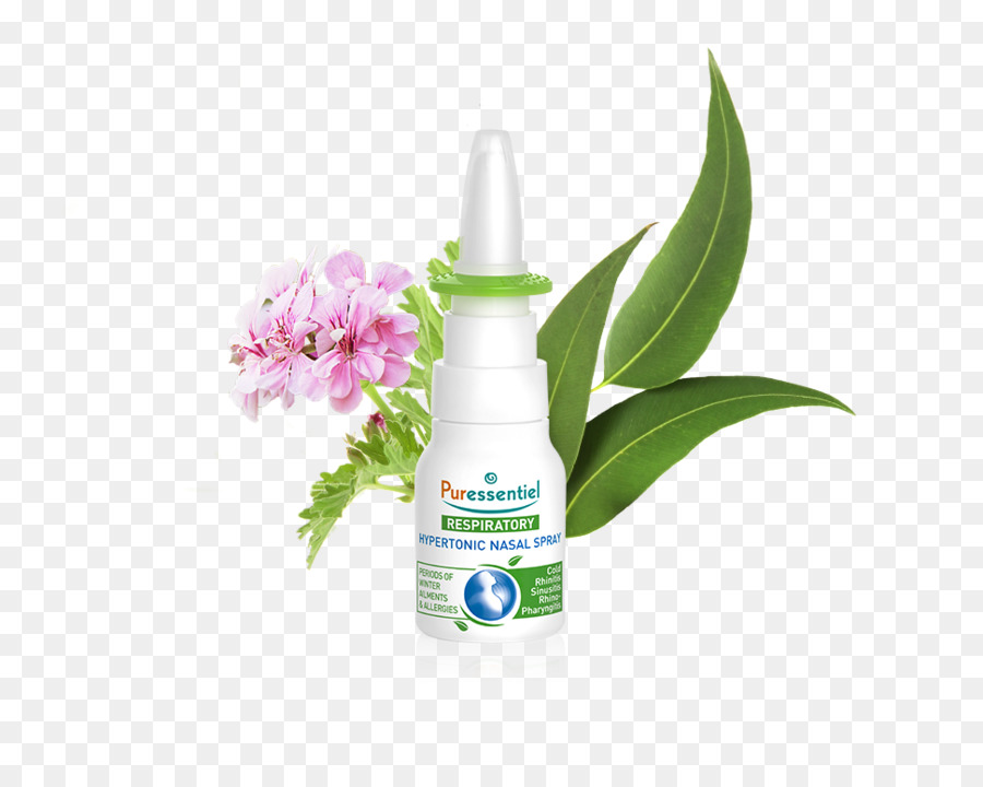 Spray Nasal，Eucalyptus Radiata PNG