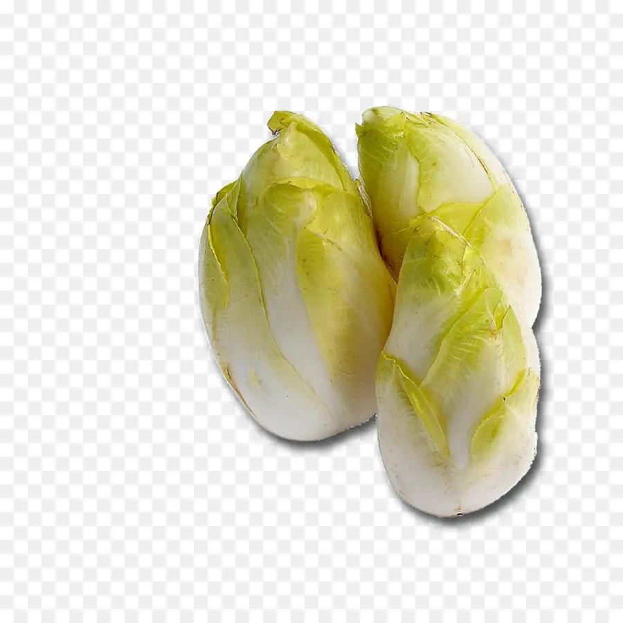 Endive Belge，Frais PNG